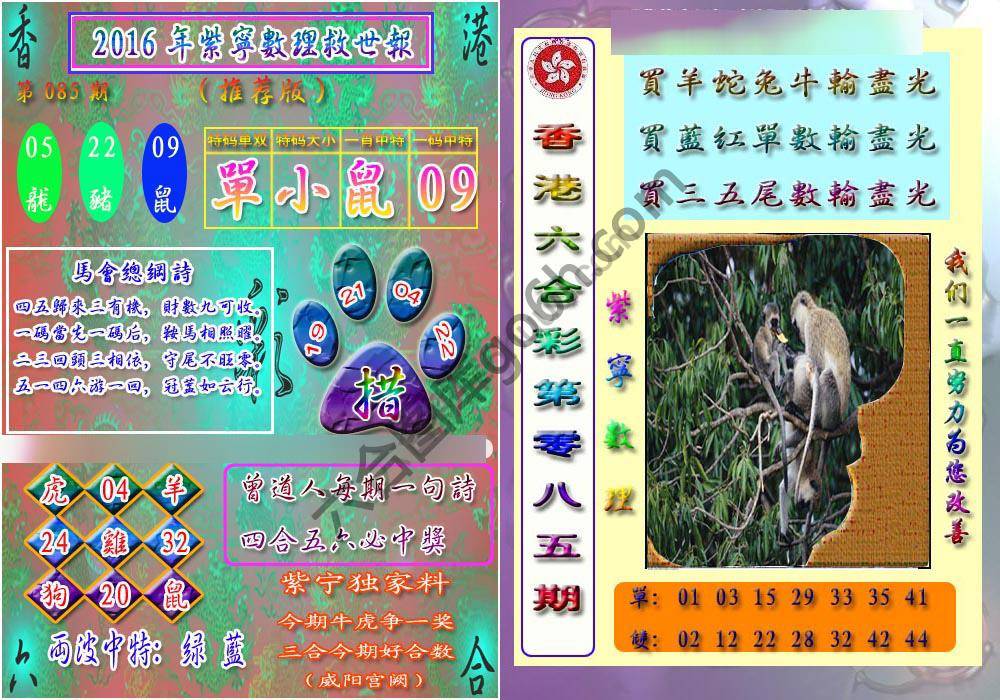 数理救世报