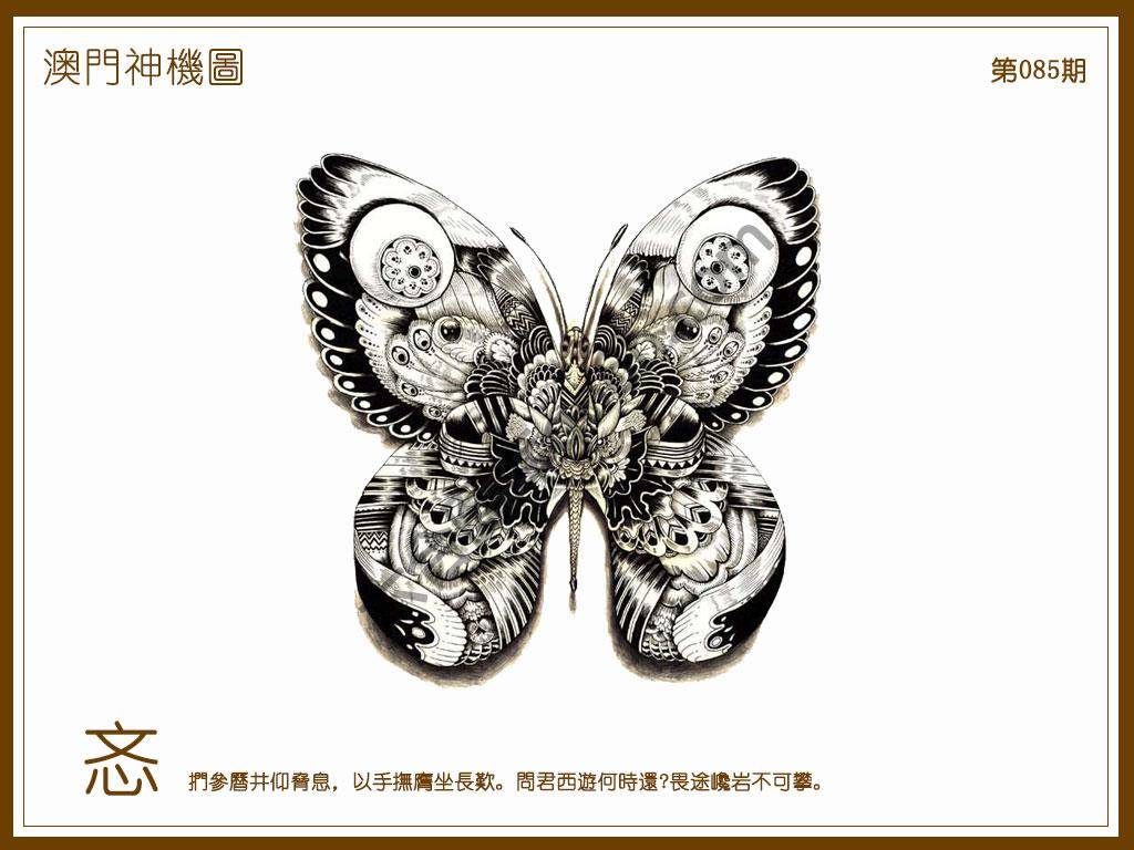 澳门神机图