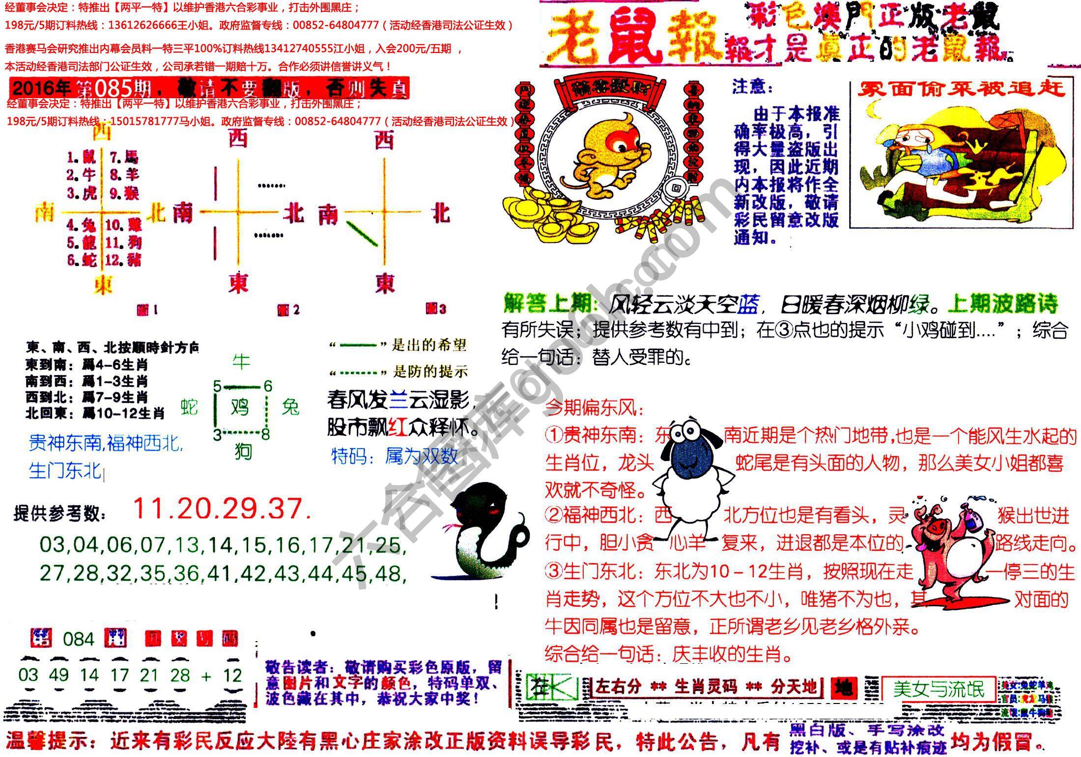 澳门老鼠报
