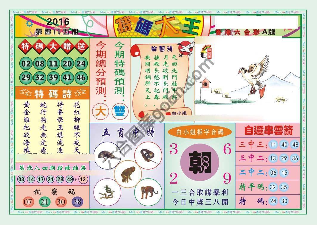 特码大王