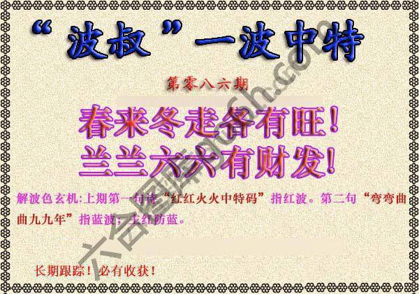 波叔一波中特