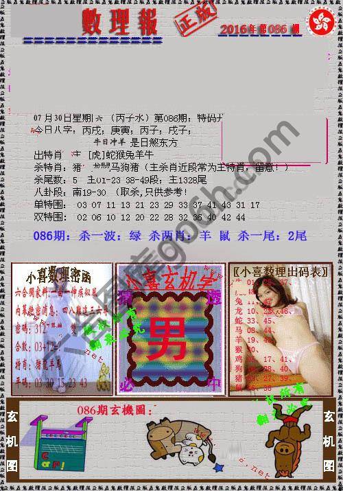 数理报