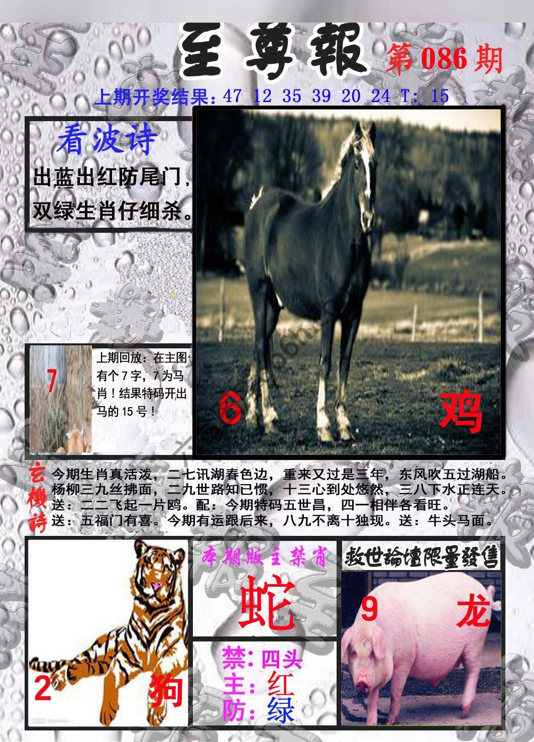 至尊报