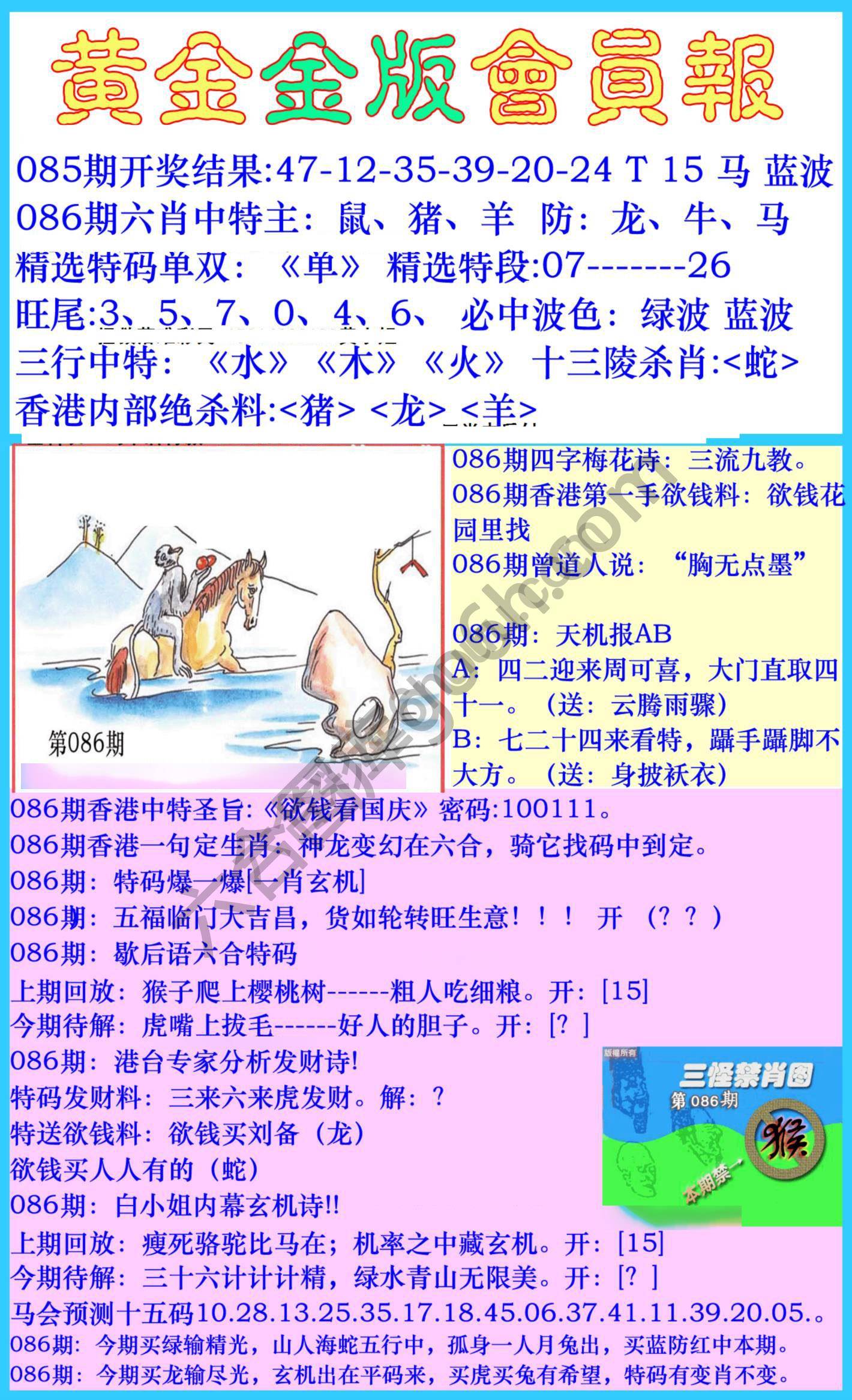 黄金金版会员报