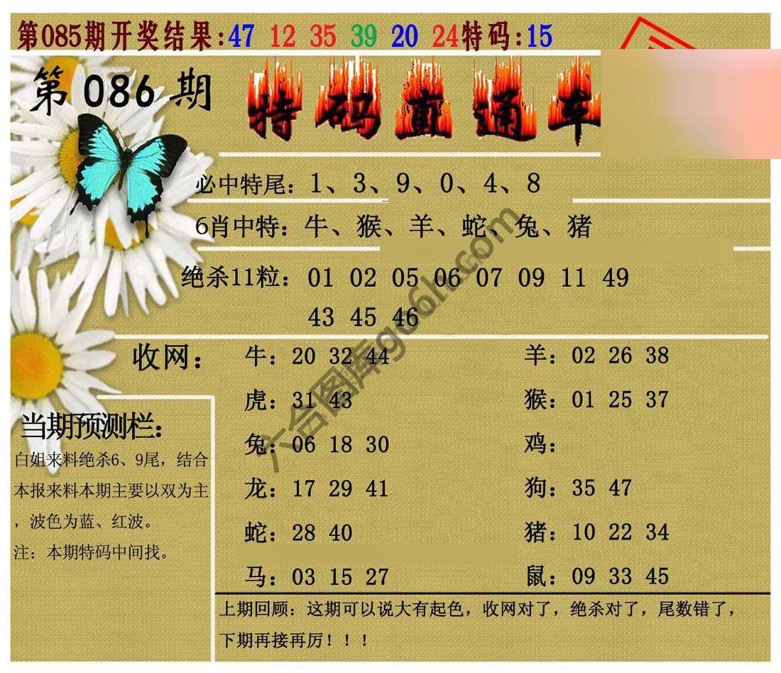 特码直通车