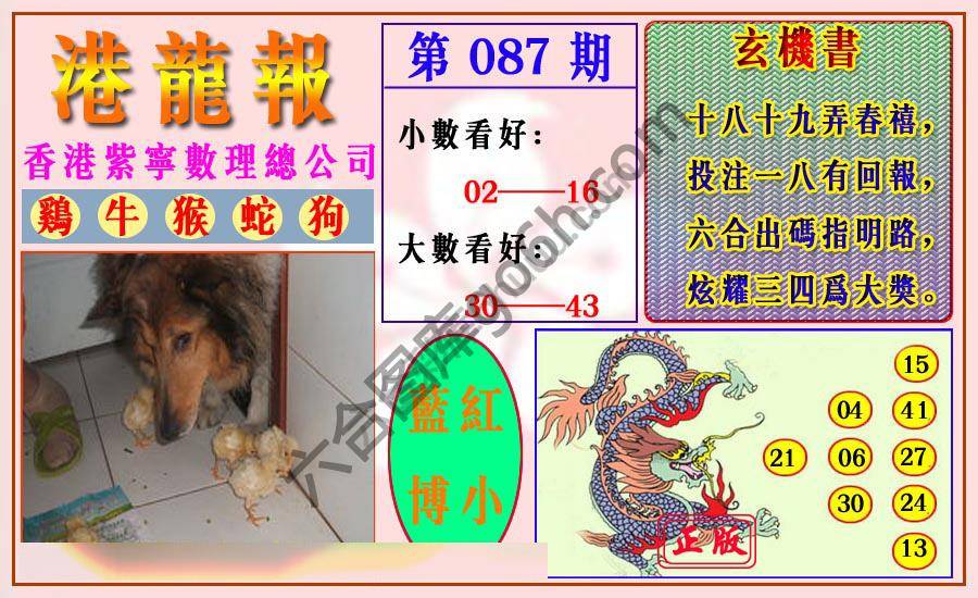 港龙报