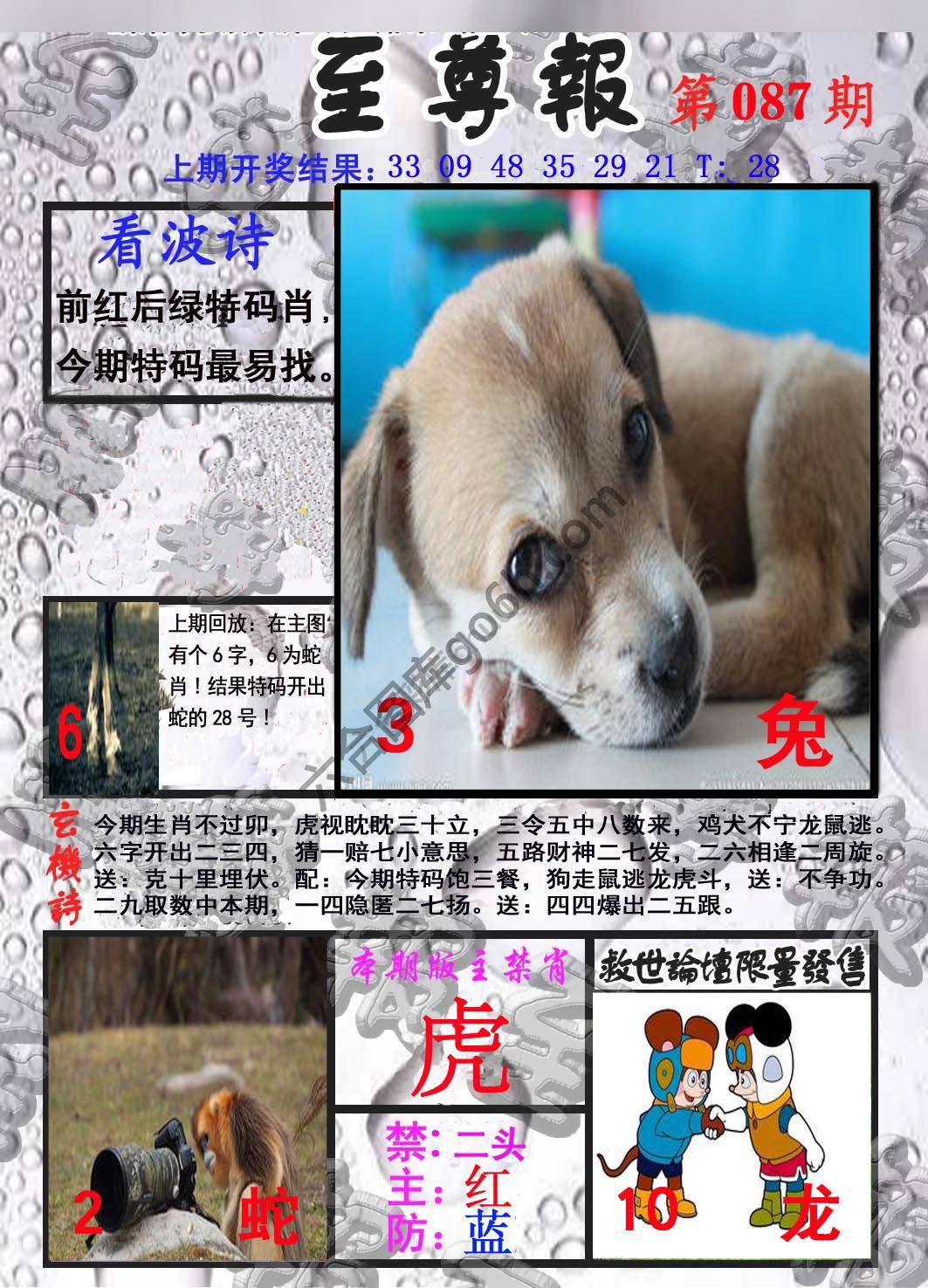 至尊报