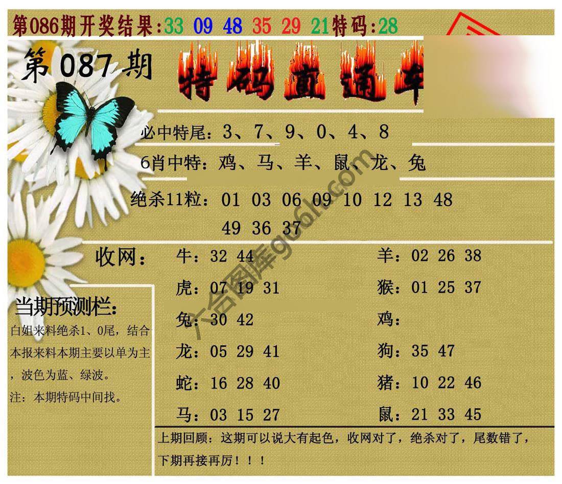 特码直通车