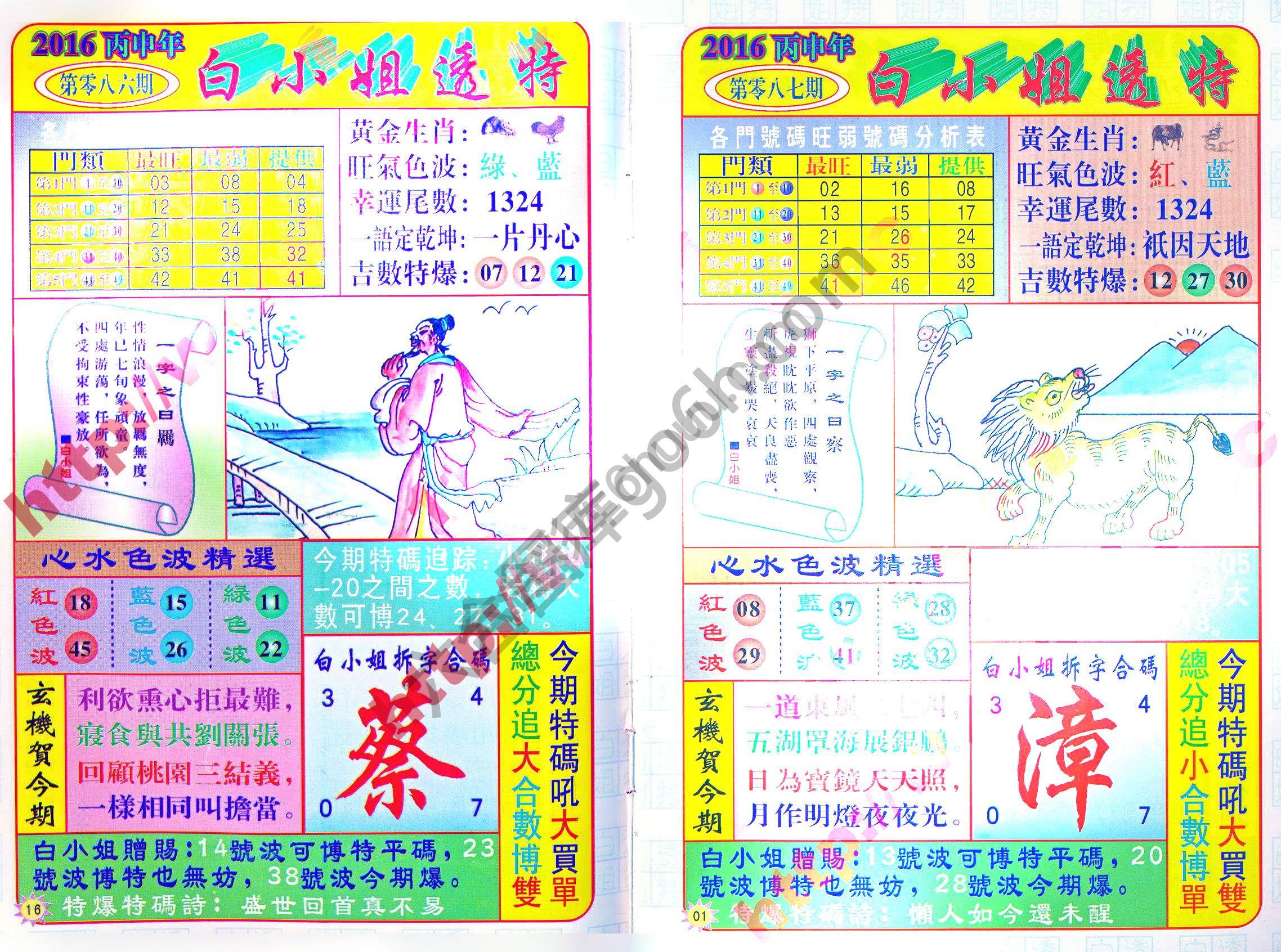 白小姐透特