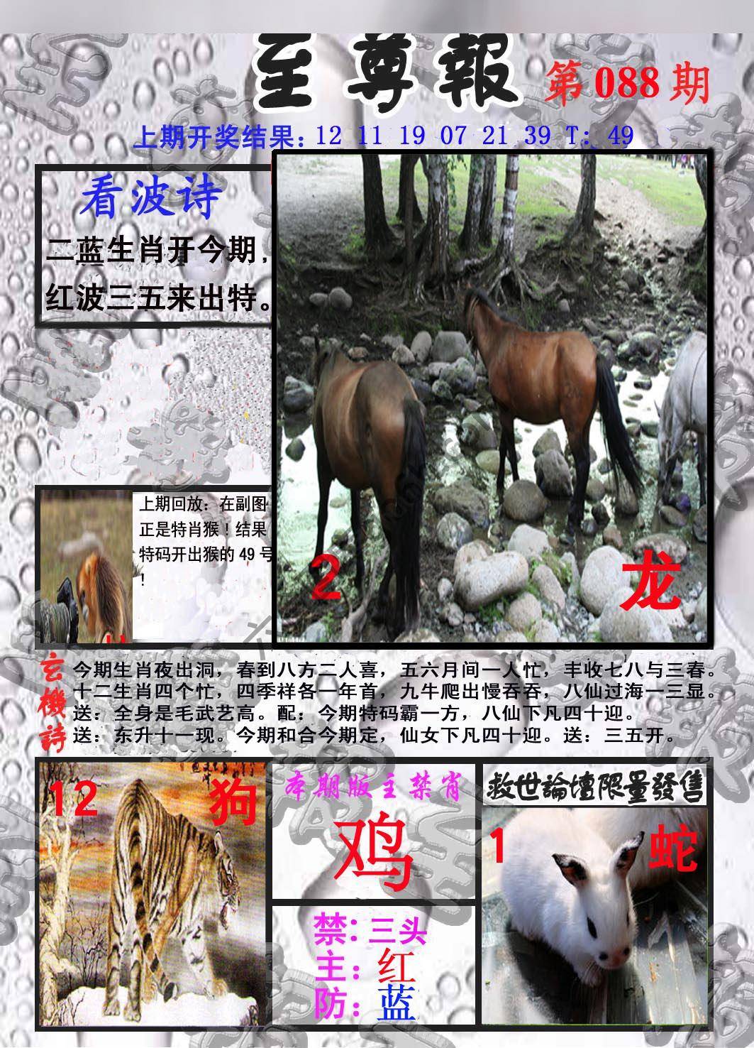 至尊报