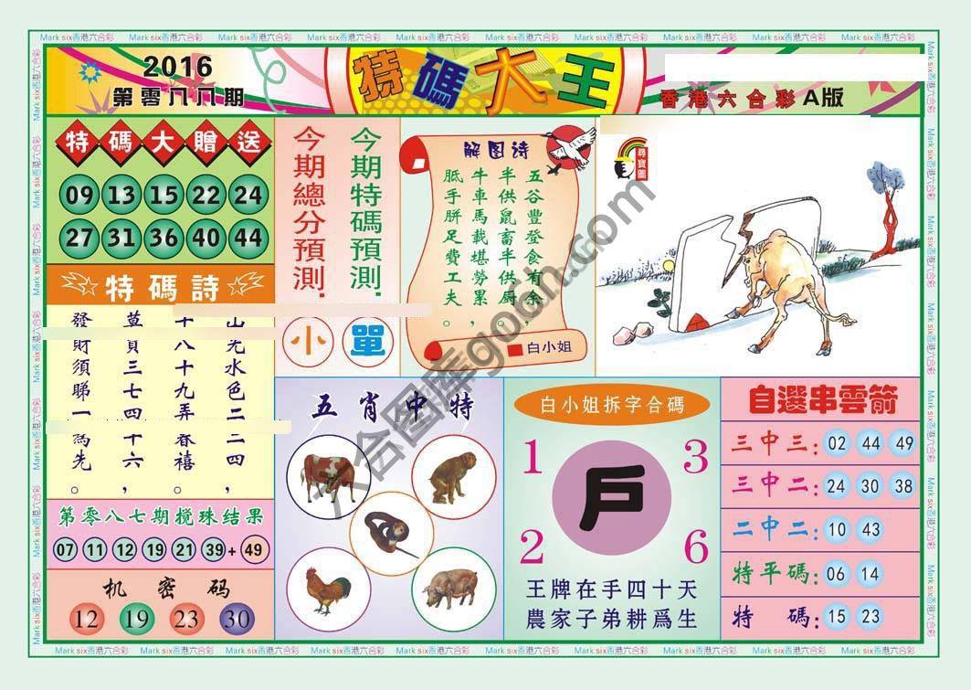 特码大王