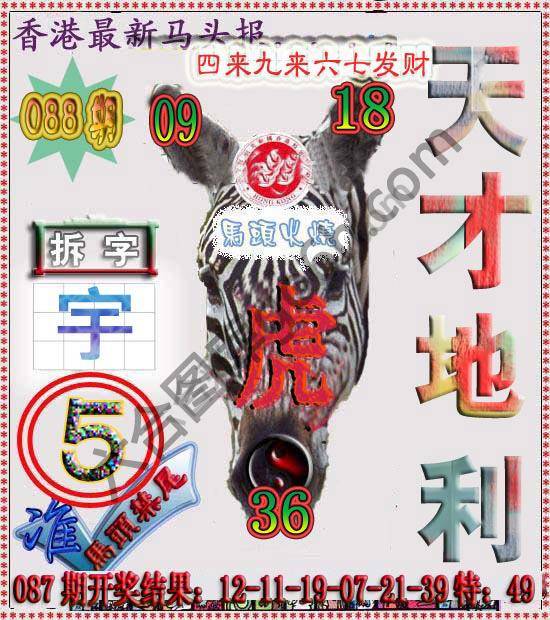 香港马头报
