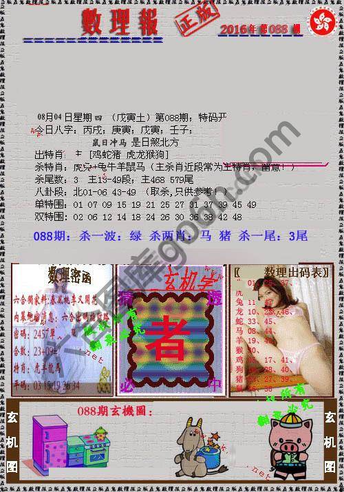 数理报