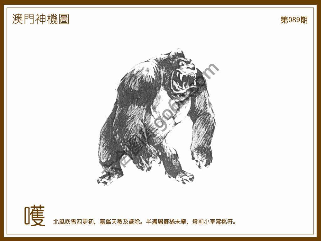 澳门神机图