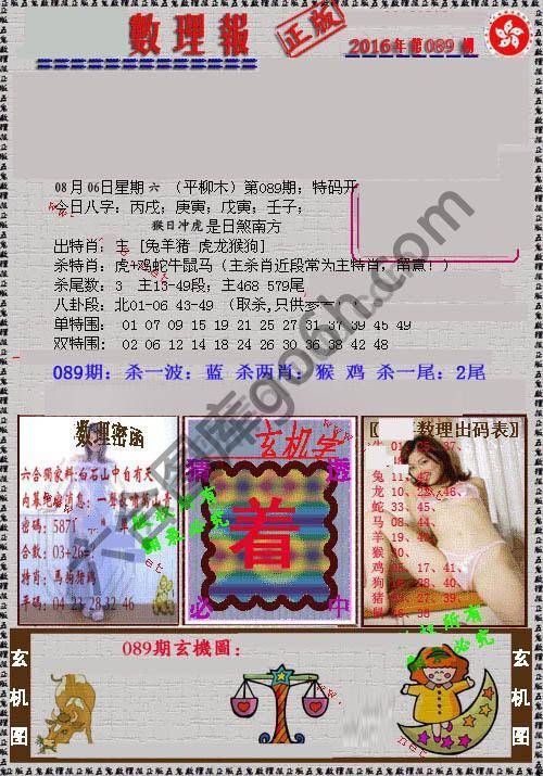 数理报