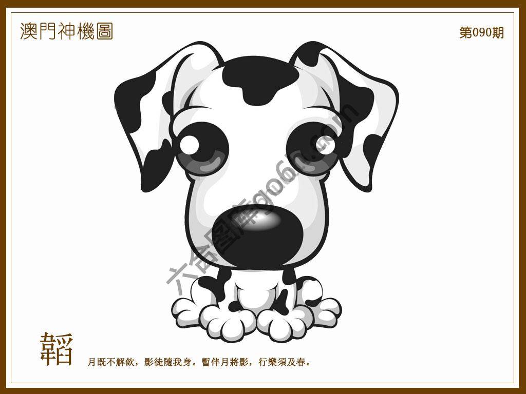 澳门神机图