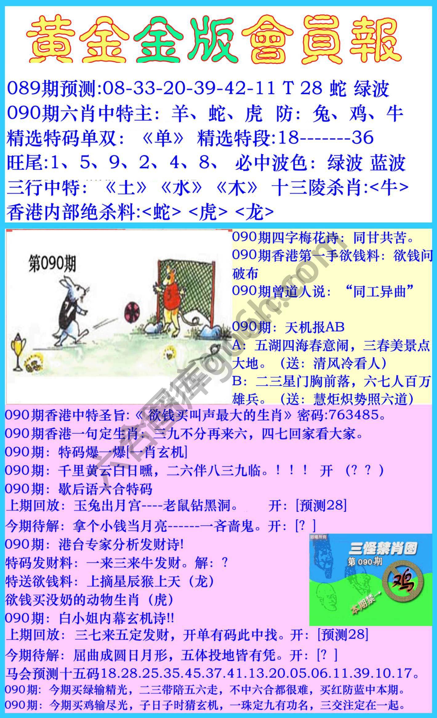 黄金金版会员报