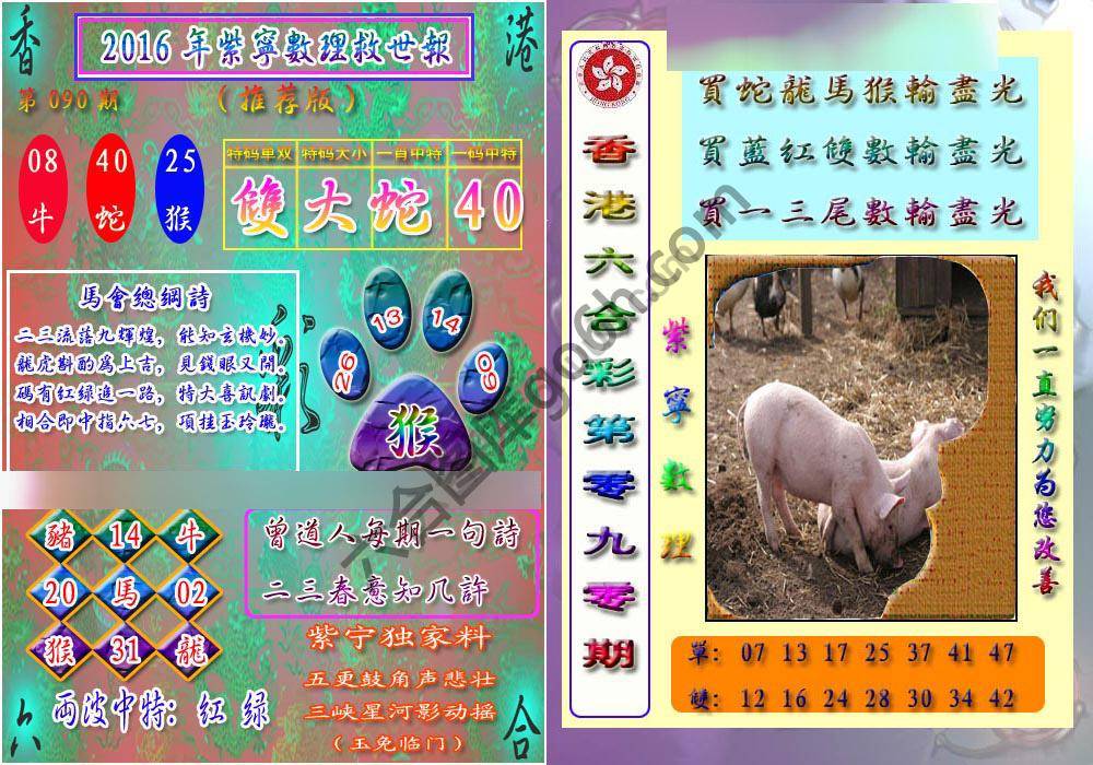 数理救世报
