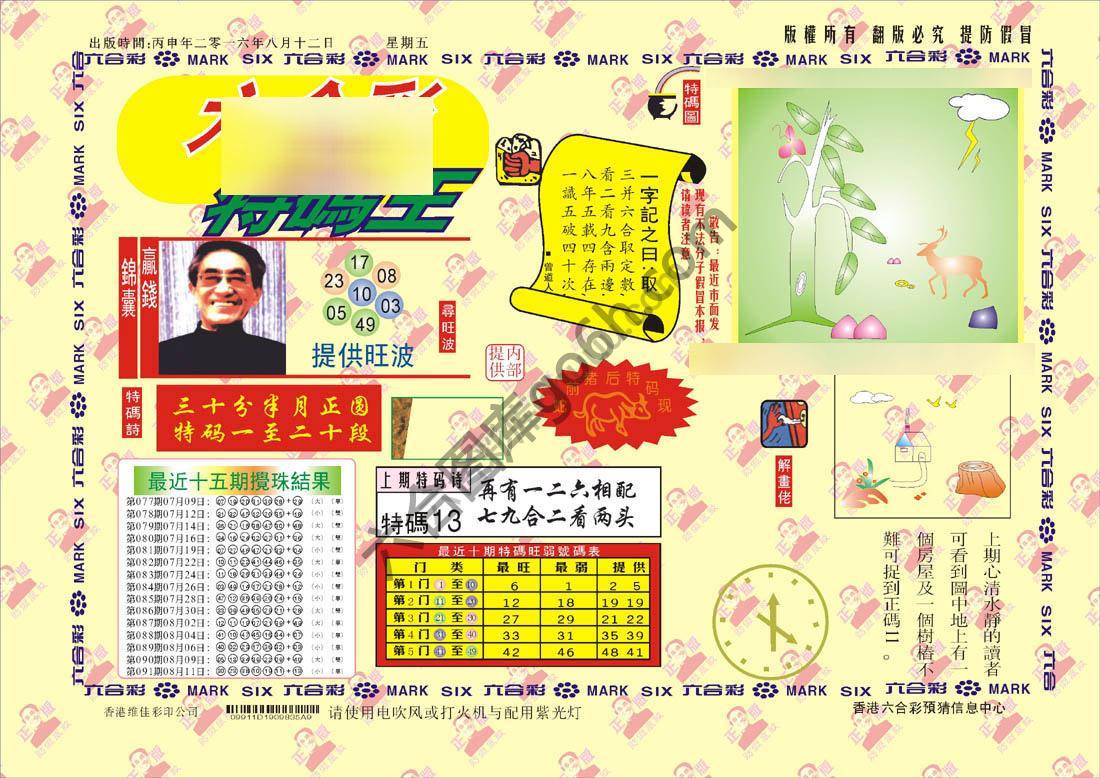 特码王