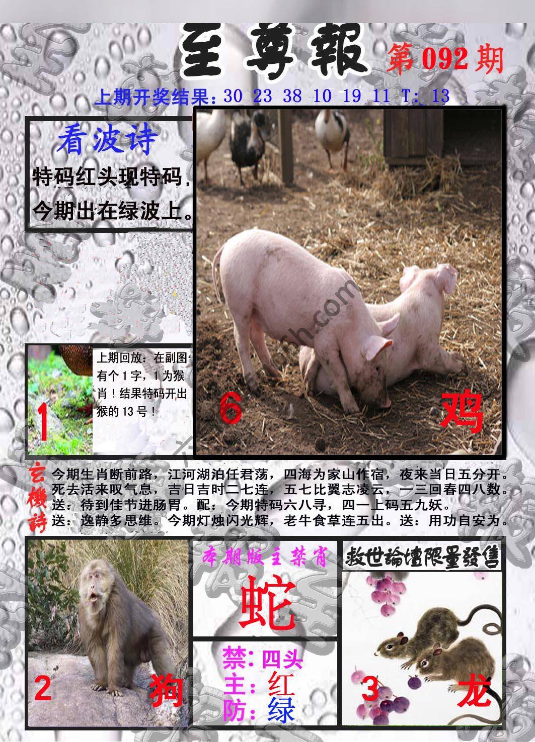 至尊报