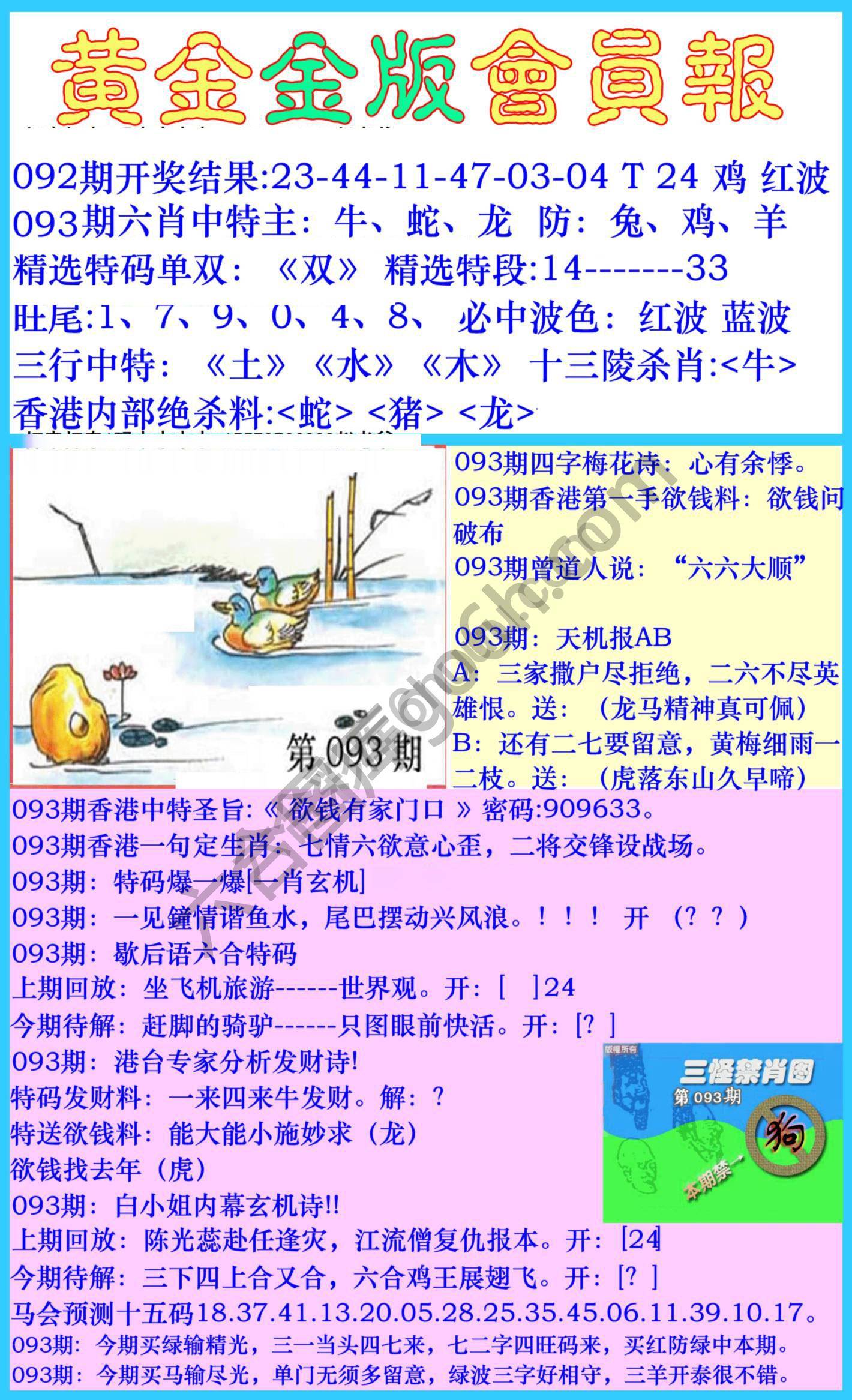黄金金版会员报