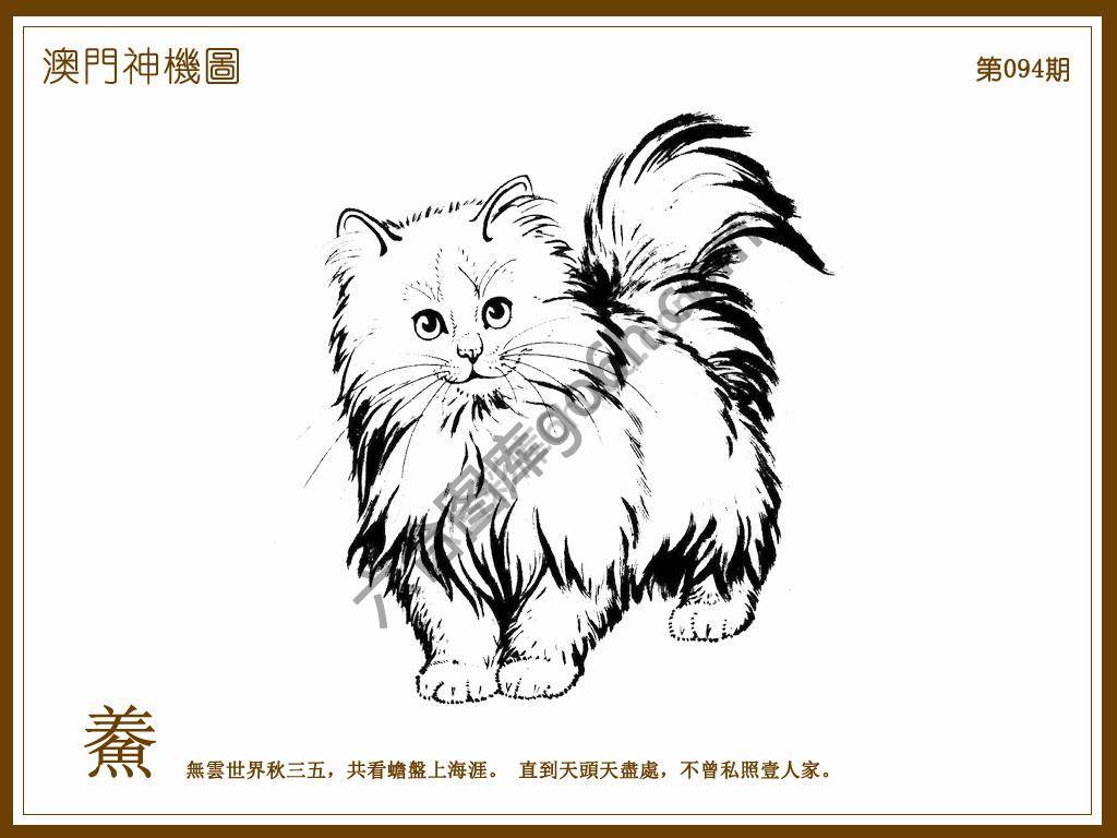 澳门神机图