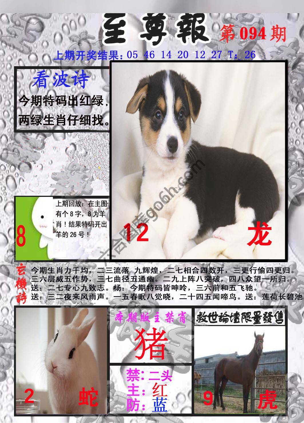 至尊报