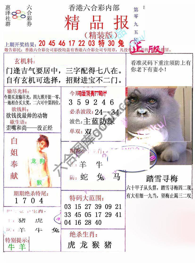 新精品报