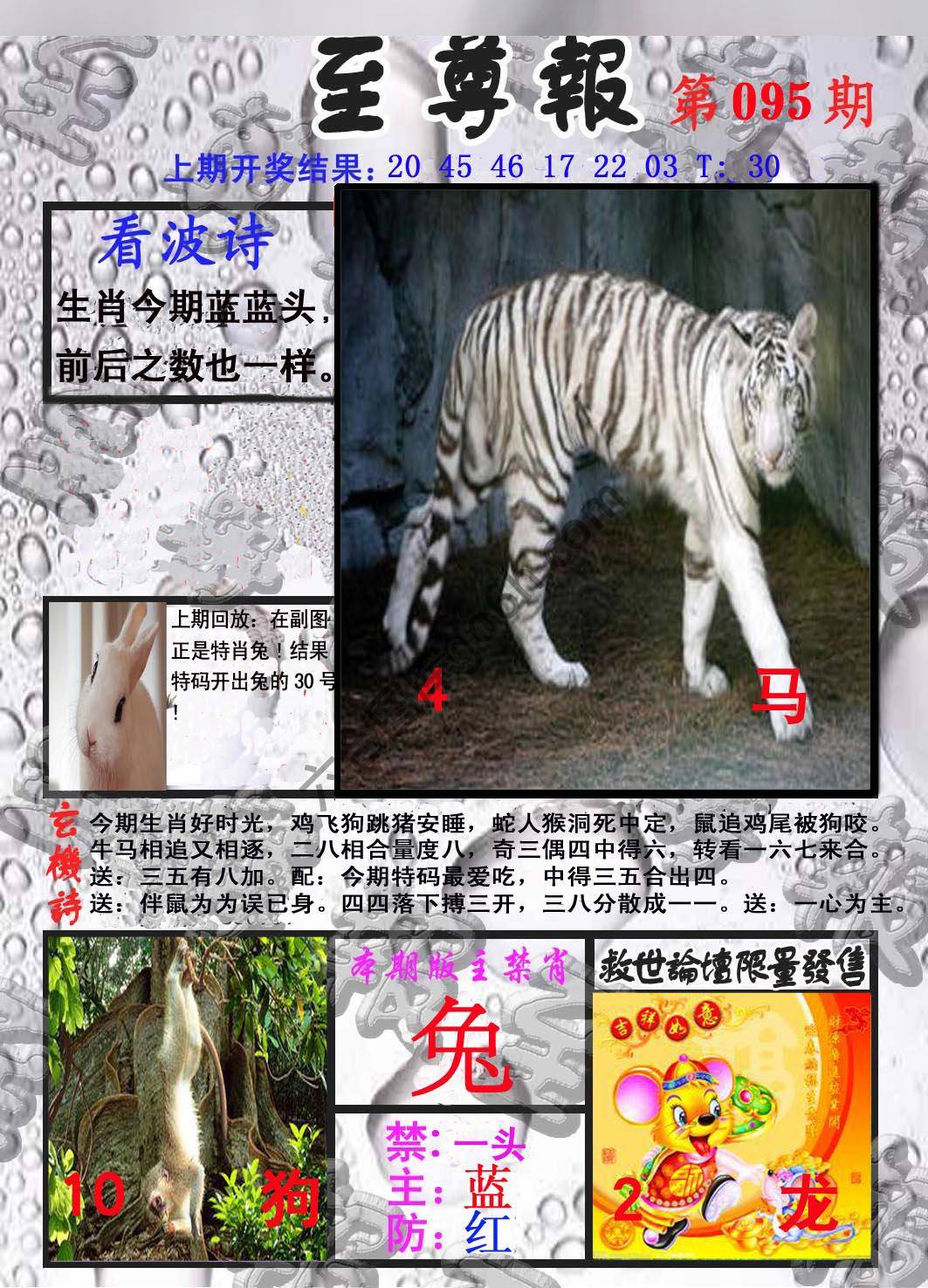 至尊报