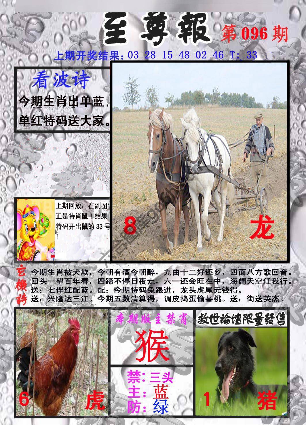 至尊报