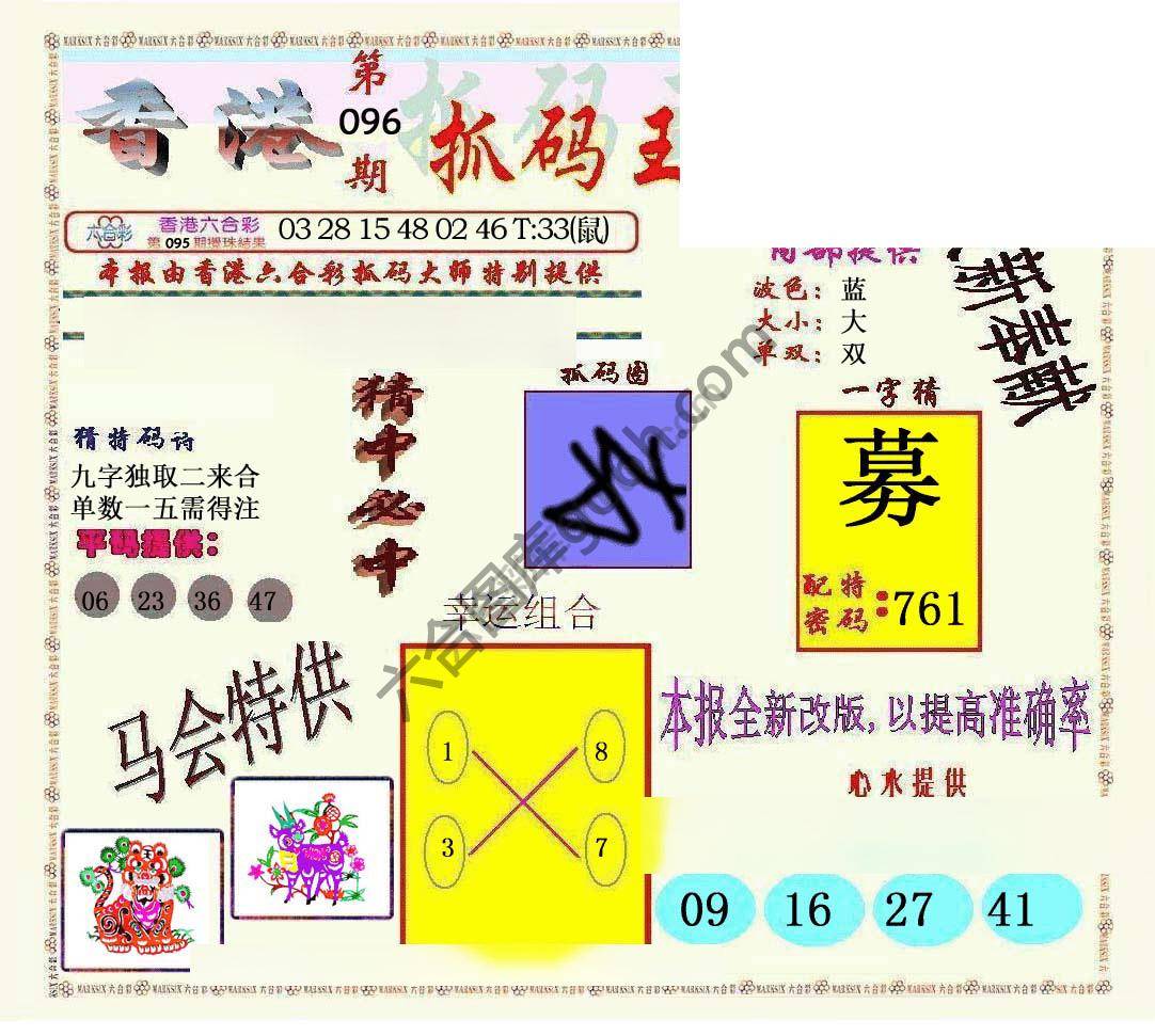 新抓码王