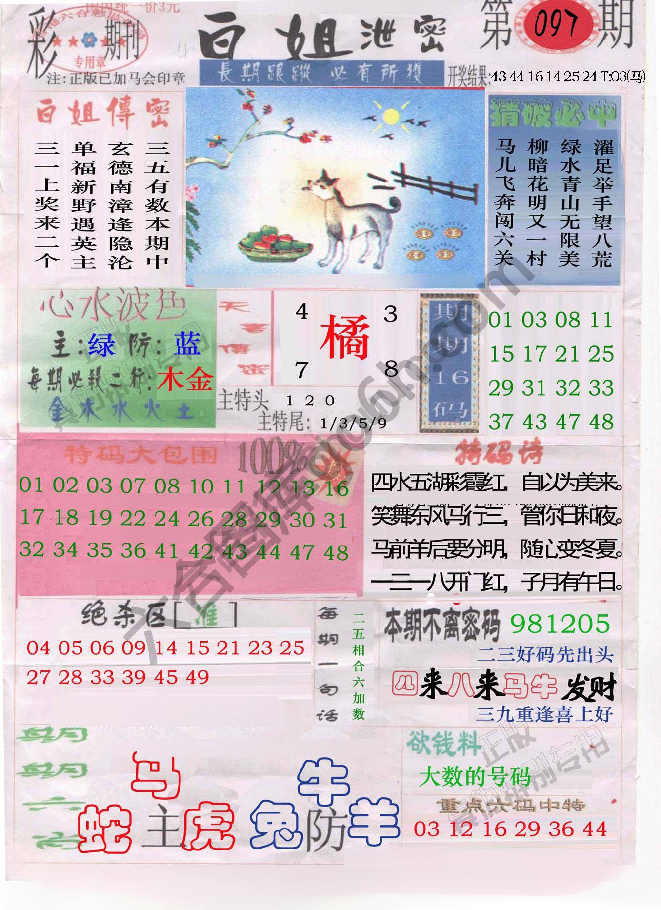 白姐泄密