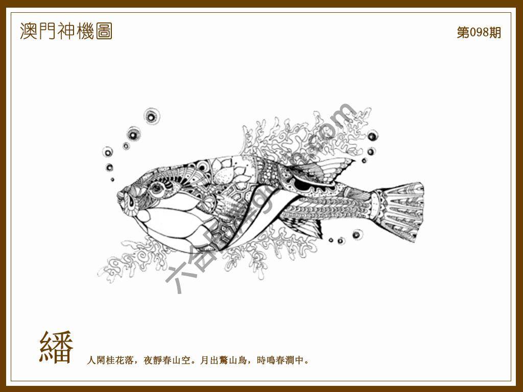 澳门神机图