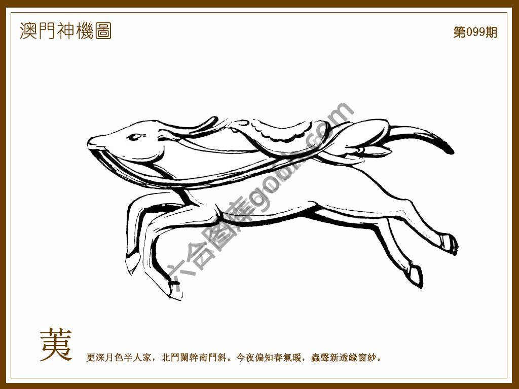 澳门神机图