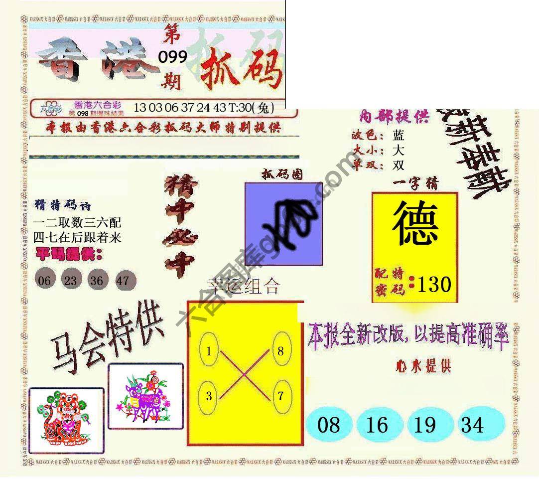 新抓码王