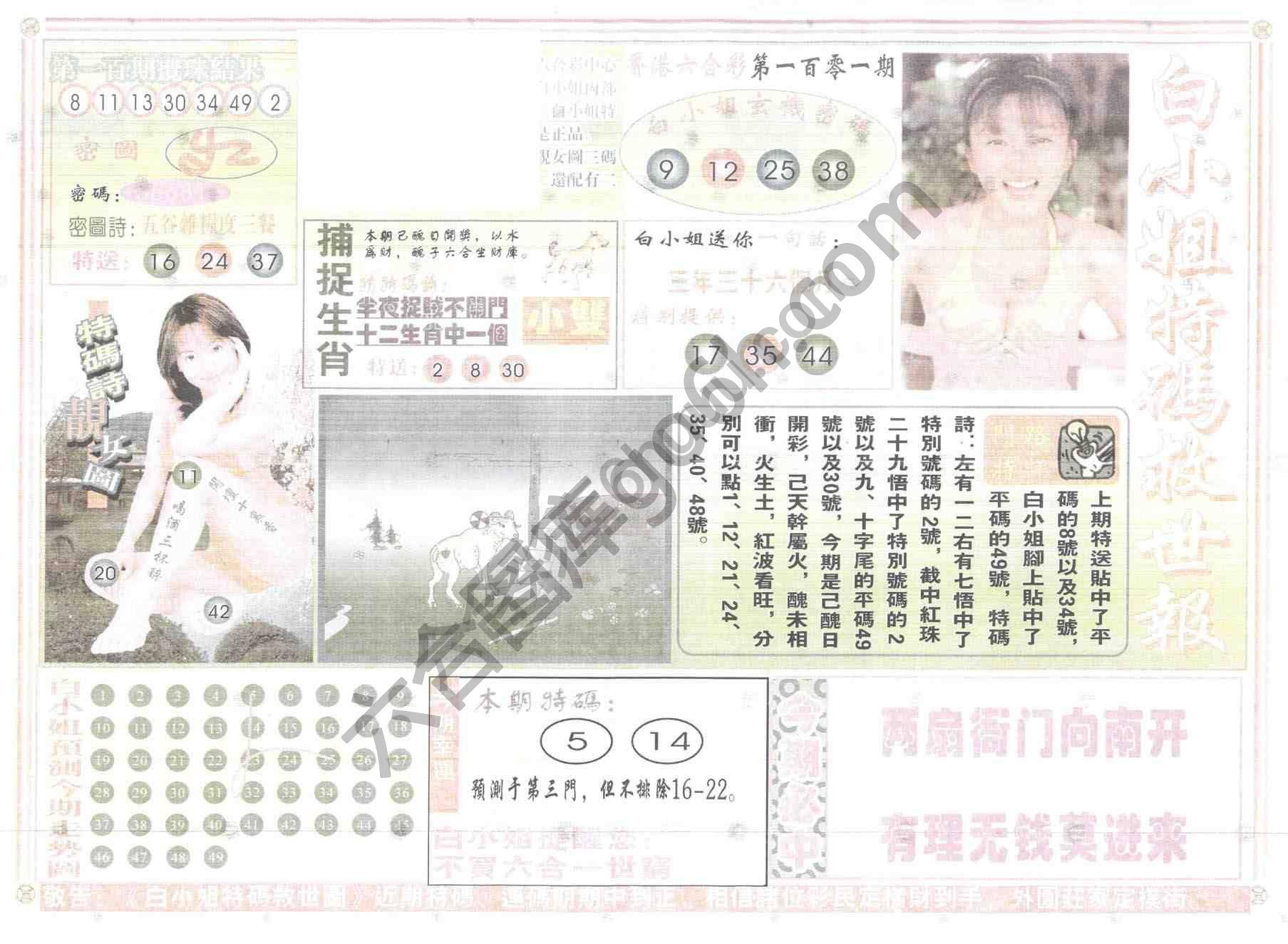 白小姐特码救世报