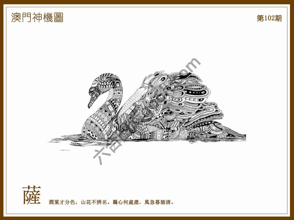 澳门神机图