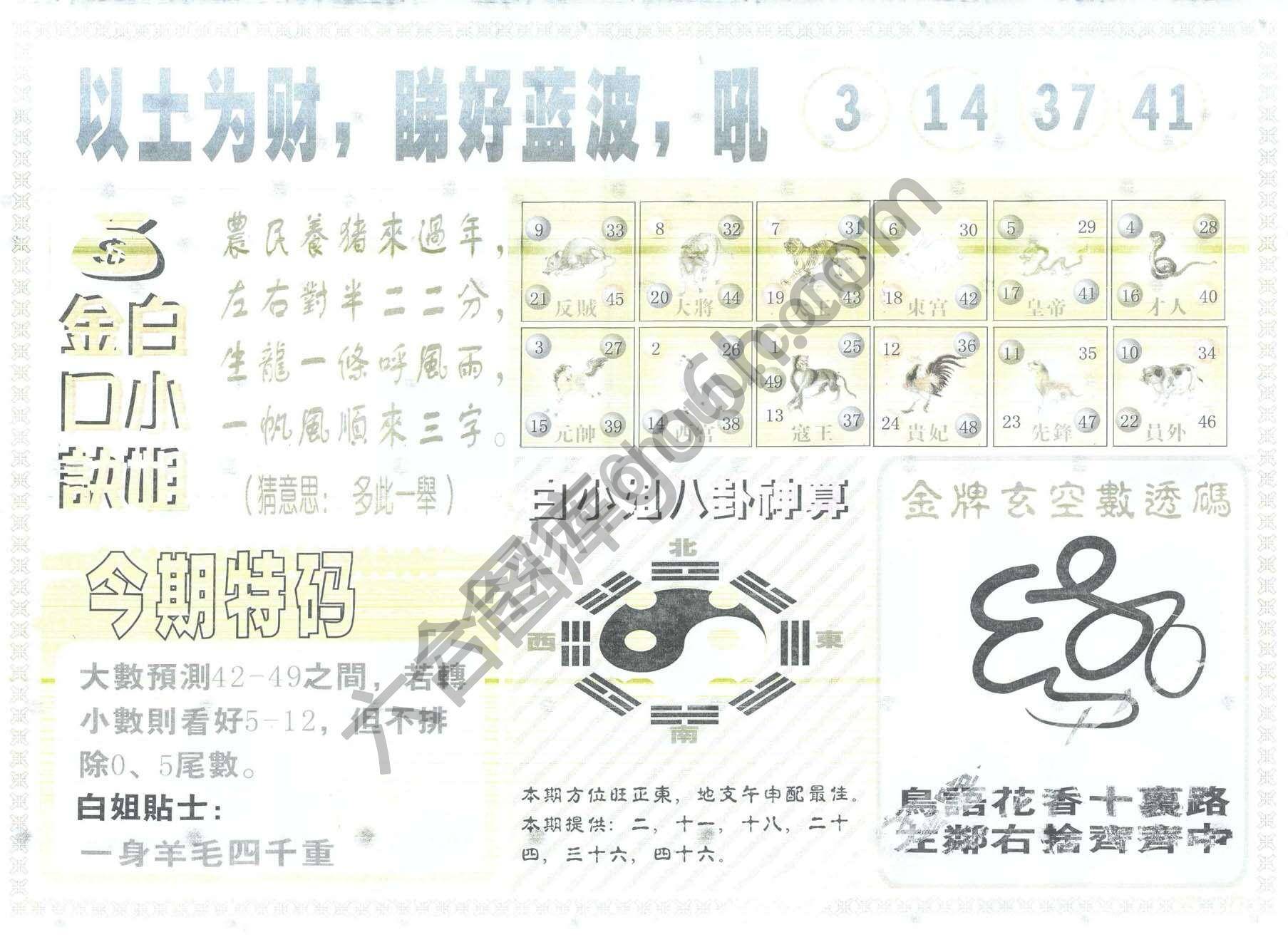 白姐内幕