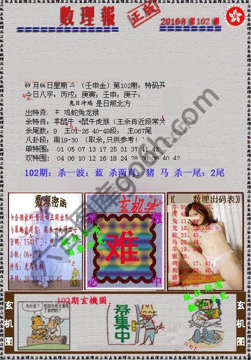 数理报