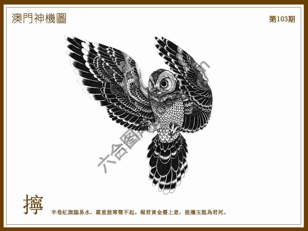 澳门神机图