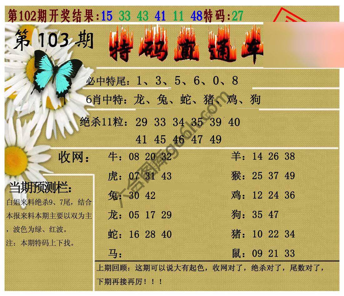 特码直通车