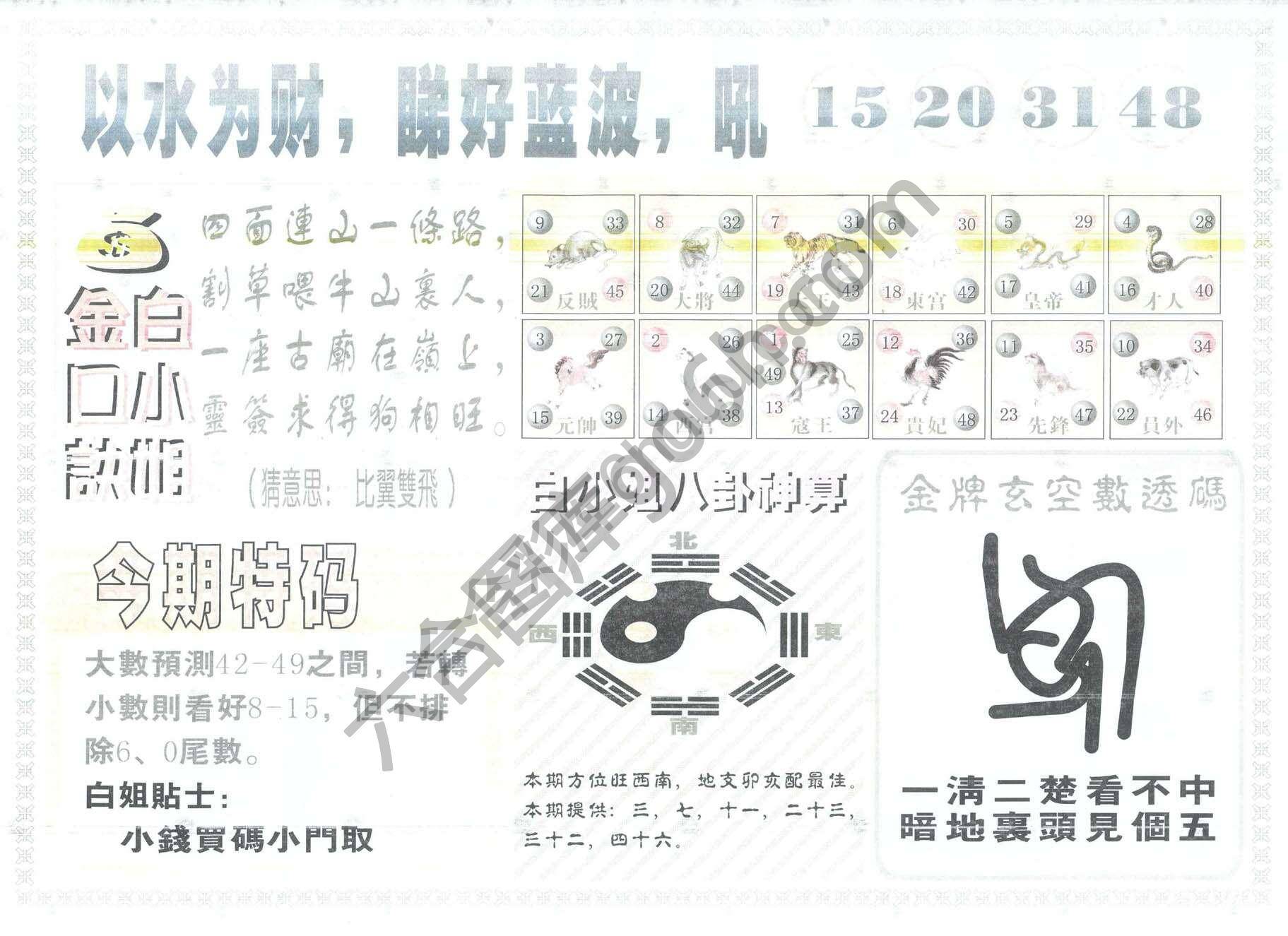白姐内幕