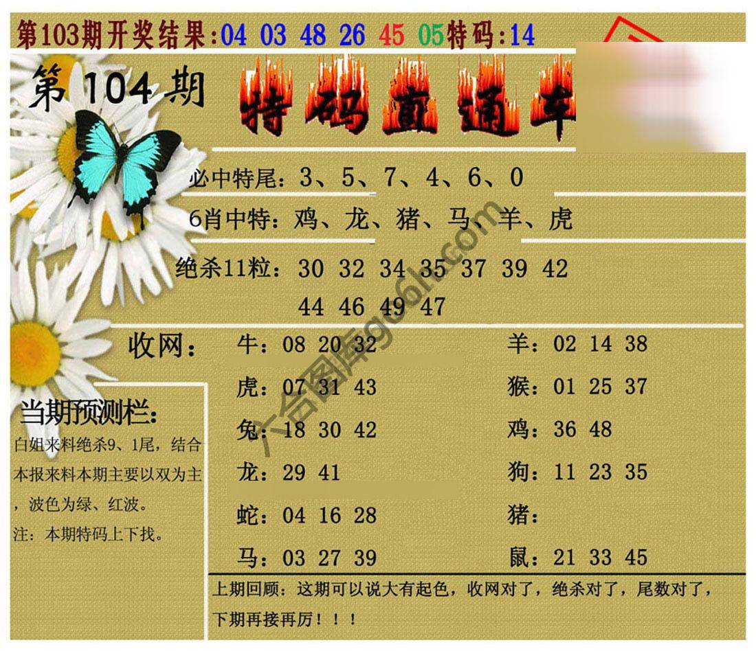 特码直通车