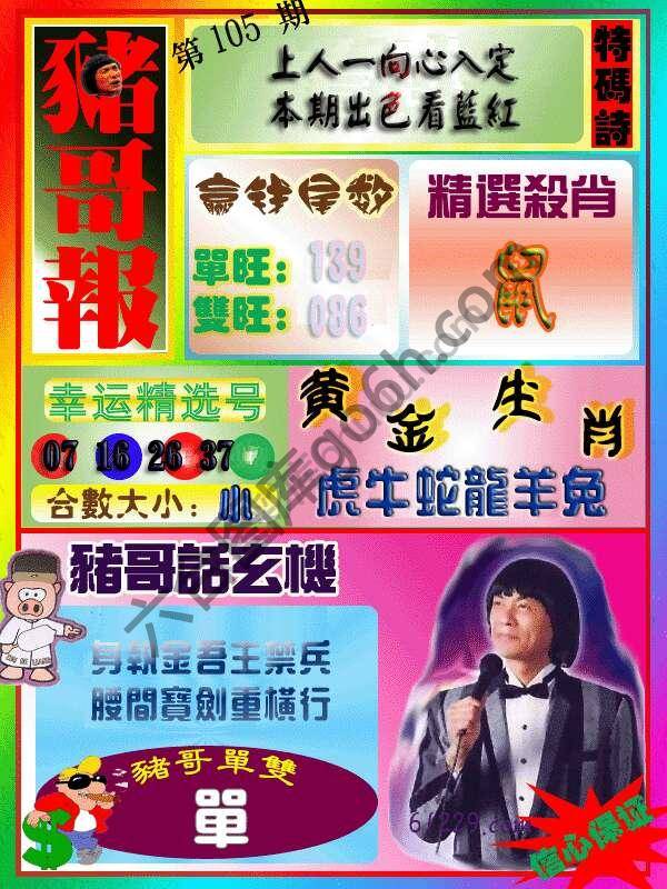 猪哥报