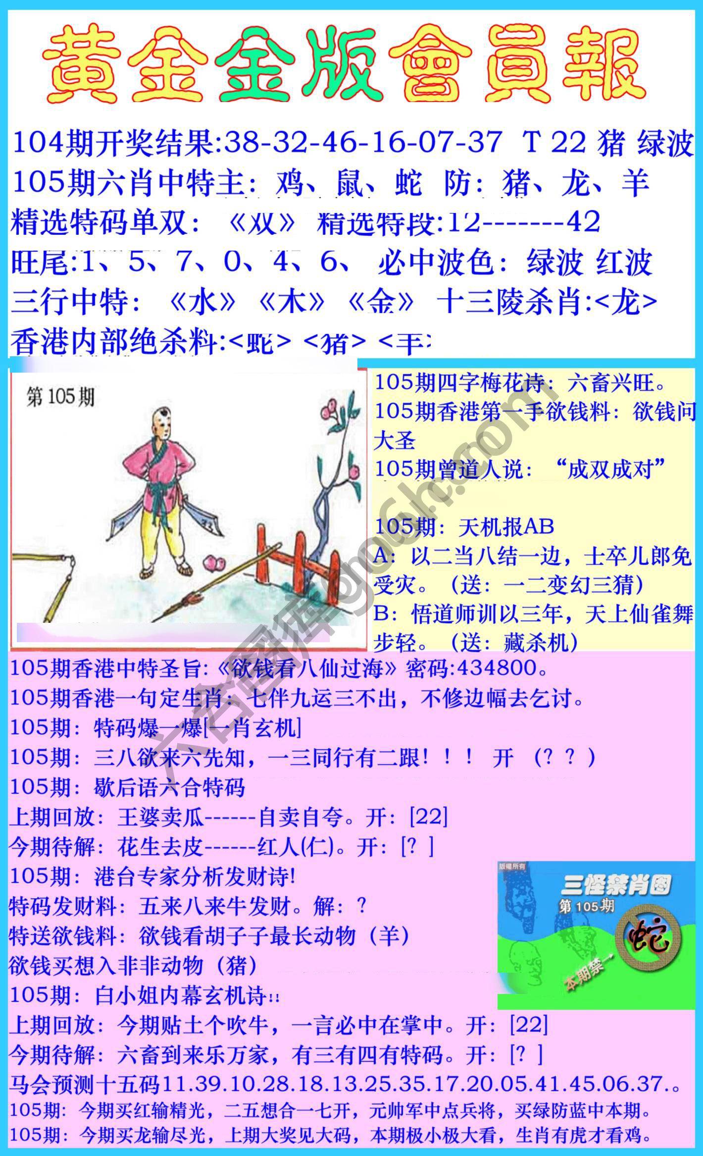 黄金金版会员报