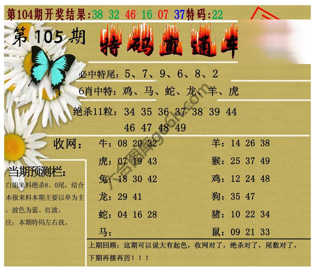 特码直通车