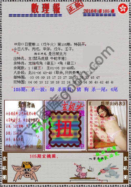 数理报