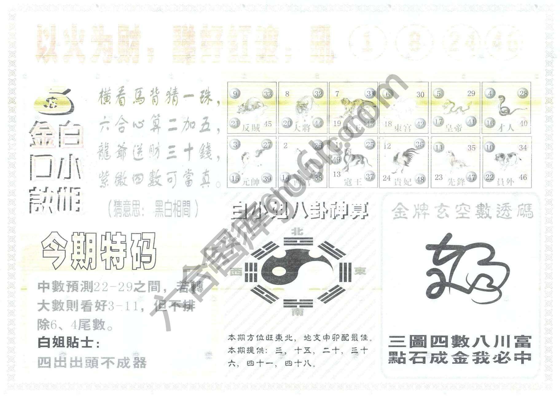 白姐内幕