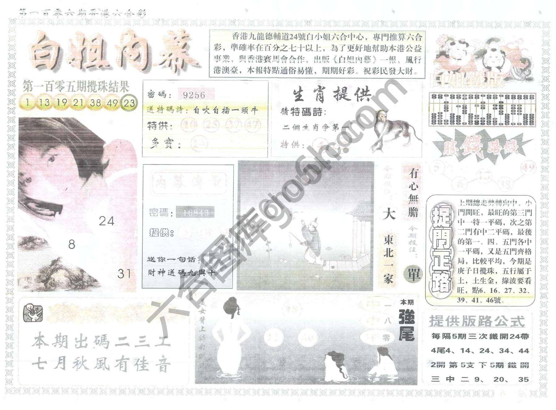 白姐内幕