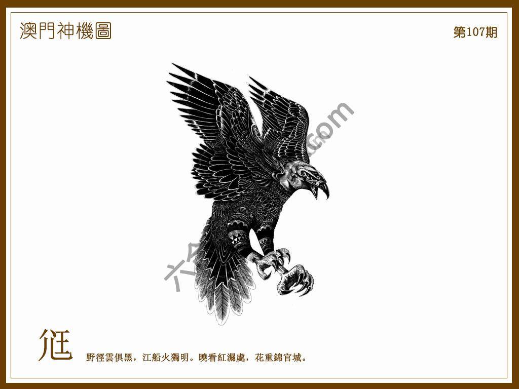 澳门神机图